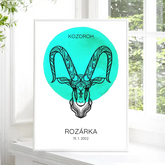 12 Znamení zvěrokruhu s vlastním jménem Plakát